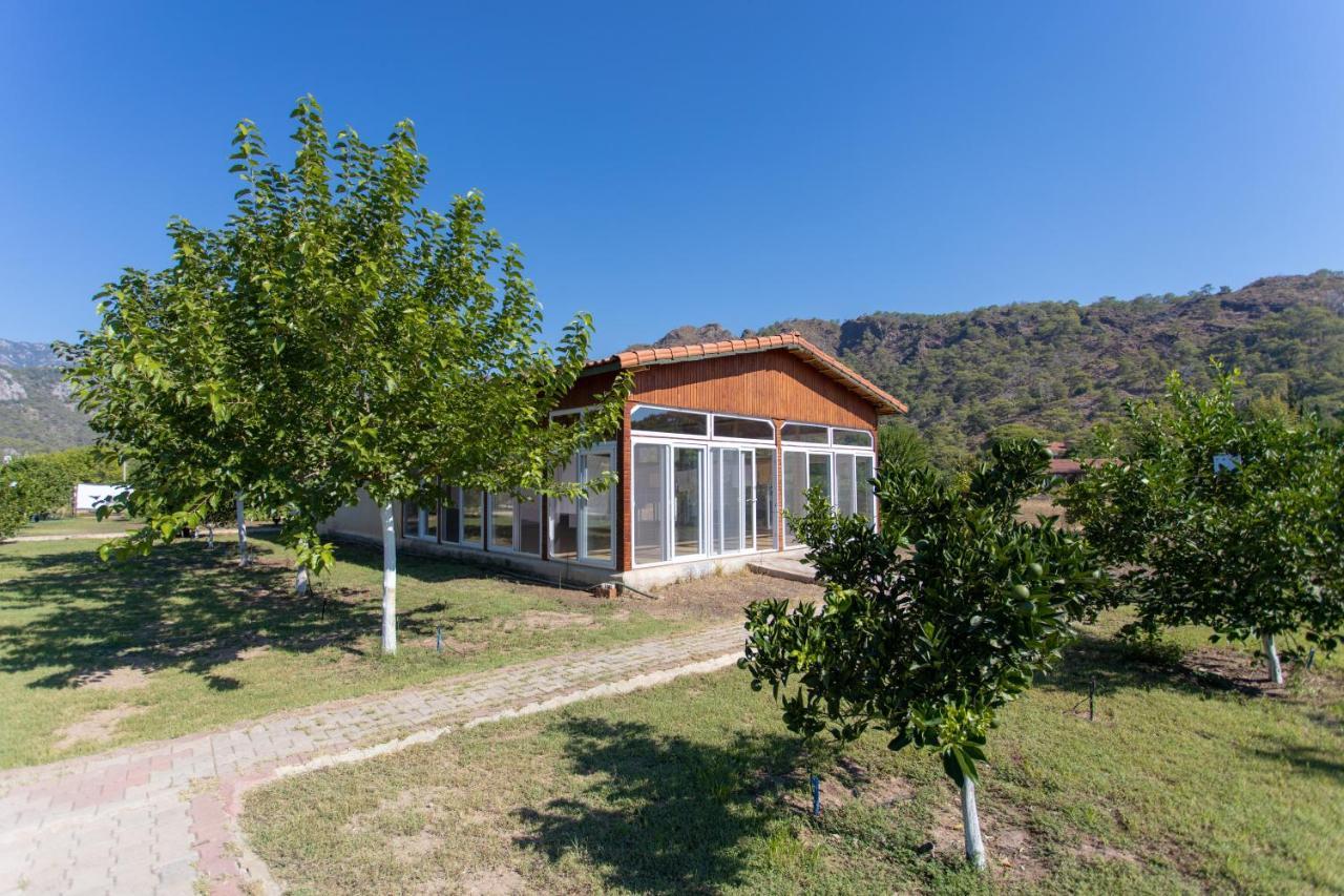Ugur Pansiyon Bungalows Çıralı Eksteriør billede