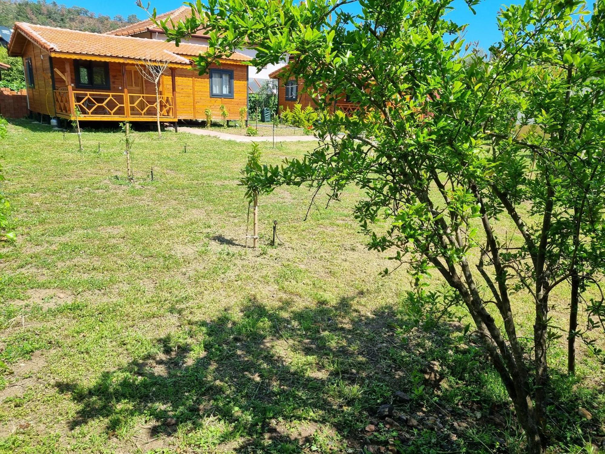 Ugur Pansiyon Bungalows Çıralı Eksteriør billede